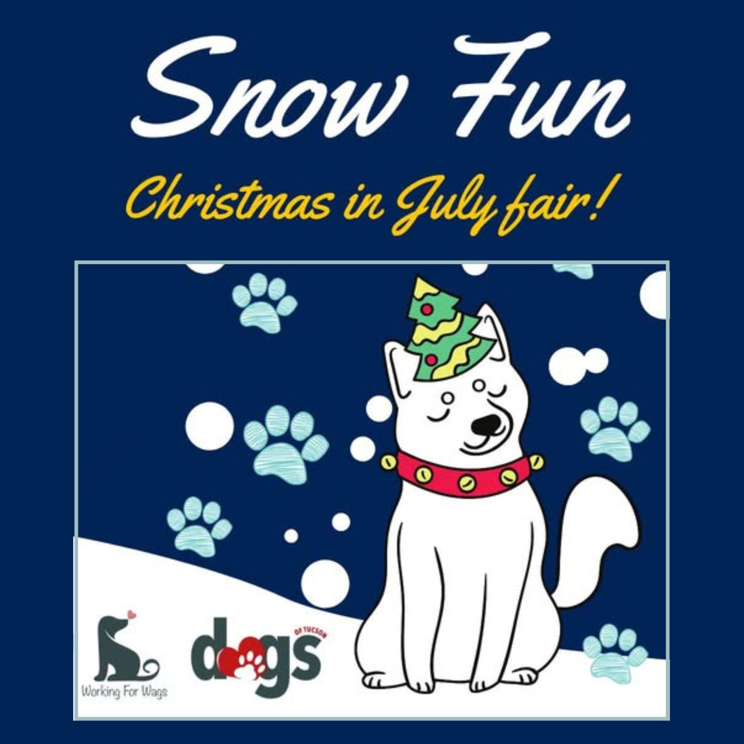 snow fun